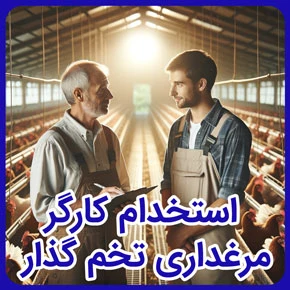 آگهی مشابه