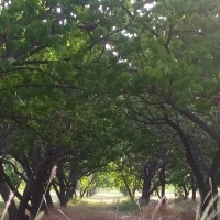 آگهی مشابه