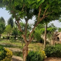 آگهی مشابه